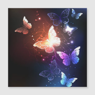 Carte Magnétique Clowing Night Butterflies