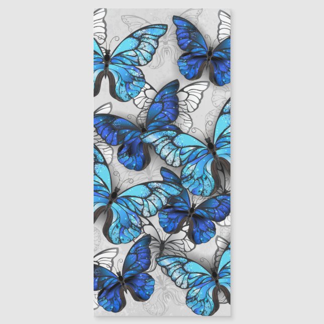 Carte Magnétique Composition des White and Blue Butterflies (Devant)
