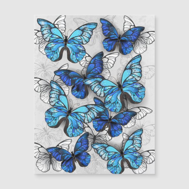 Carte Magnétique Composition des White and Blue Butterflies (Devant)