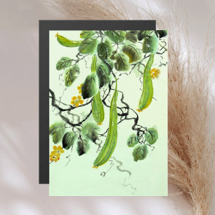 Carte Magnétique Concombre chinois