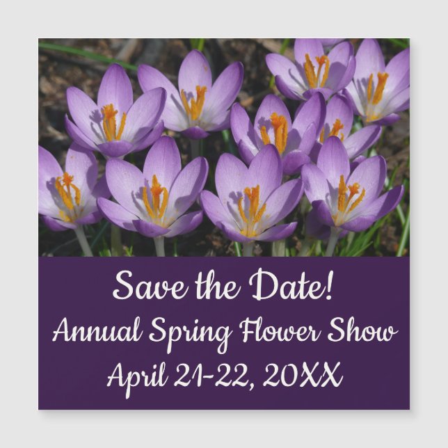 Carte Magnétique Crocus violets ensoleillés (Devant)