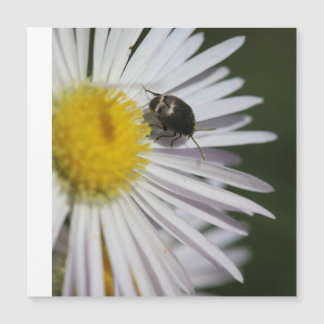 Carte Magnétique "Daisy & Bumblebee Puzzle - La petite harmonie de 