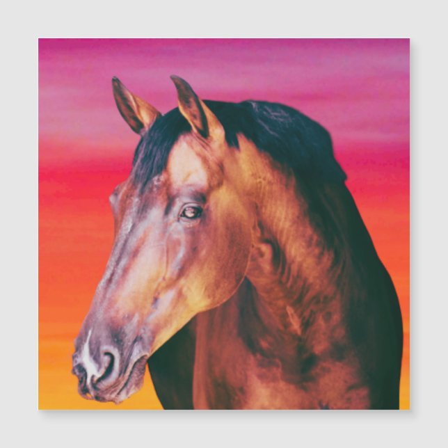 Carte Magnétique Dégradé de la baie (Devant)