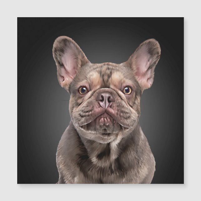 Carte Magnétique Dessin Chien Français Bulldog Bloc-notes Lancer l' (Devant)