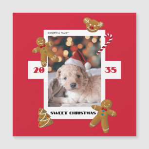 Carte Magnétique Douce coutume de Noël photo mignonne animal de com