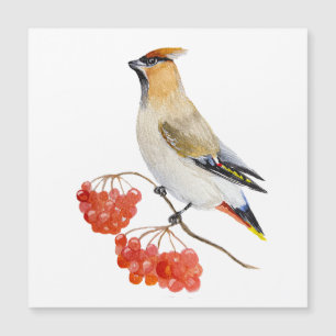 Carte Magnétique Écirage d'oiseaux de la forêt d'aquarelle