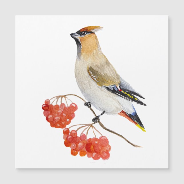 Carte Magnétique Écirage d'oiseaux de la forêt d'aquarelle (Devant)