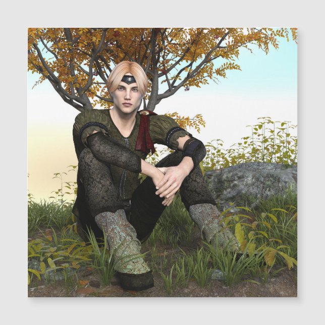 Carte Magnétique Fairy Tale Prince (Devant)