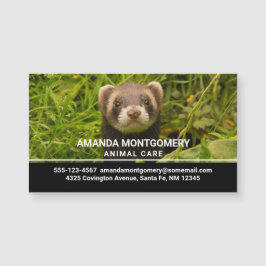 Carte Magnétique Ferret Brown mignon dans l'herbe photo