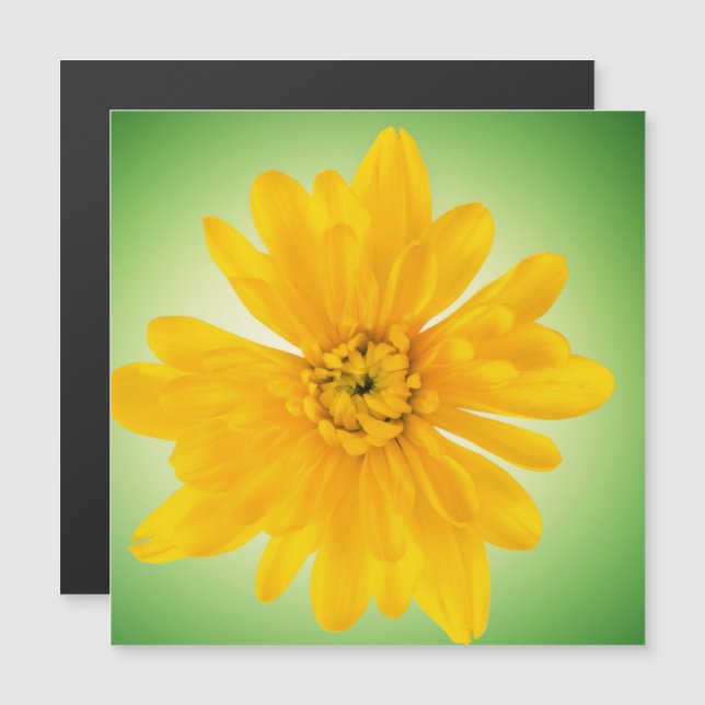 Carte Magnétique Fleur jaune (Devant / Derrière)