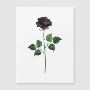 Carte Magnétique Fleur rose noire