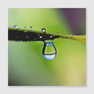 Carte Magnétique Gouttes d'eau de macro