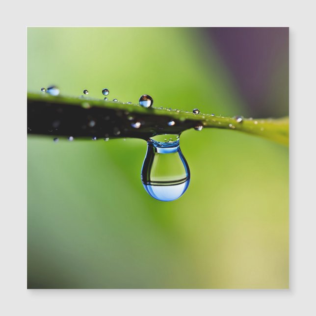 Carte Magnétique Gouttes d'eau de macro (Devant)