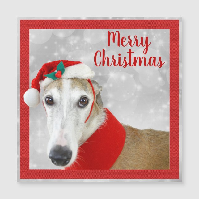 Carte Magnétique Greyhound Joyeux Noël (Devant)