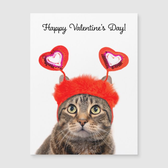 Carte Magnétique Heureuse Sainte-Valentin Pour N'Importe Qui Tabby  (Devant)