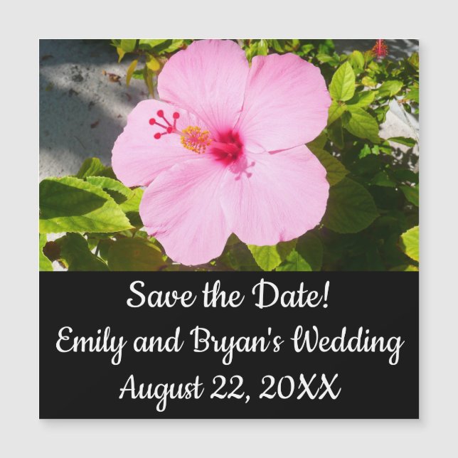 Carte Magnétique Hibiscus rose Fleur tropicale (Devant)