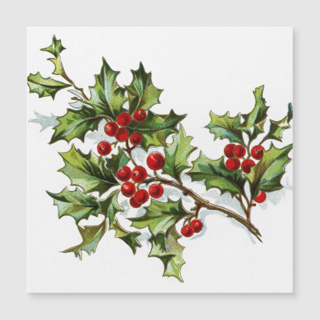 Carte Magnétique HollyBerries 002 (Devant)