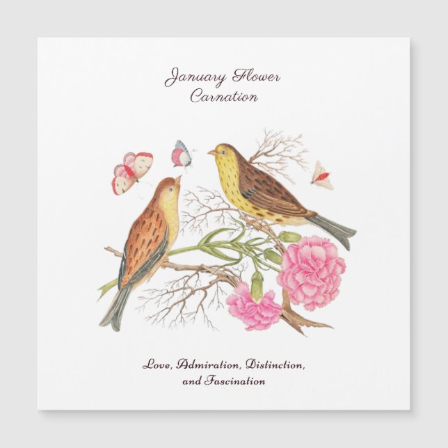 Carte Magnétique Janvier Mois de naissance Fleur Anniversaire Cadea (Devant)