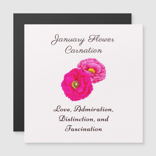 Carte Magnétique Janvier Mois de naissance Fleur Carnation Élégante (Devant / Derrière)