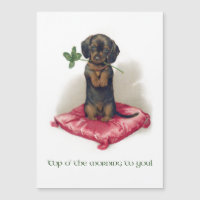 Joli Dachshund Vintage St. Patrick's Day avec trèf