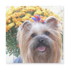 Joyeux chien
