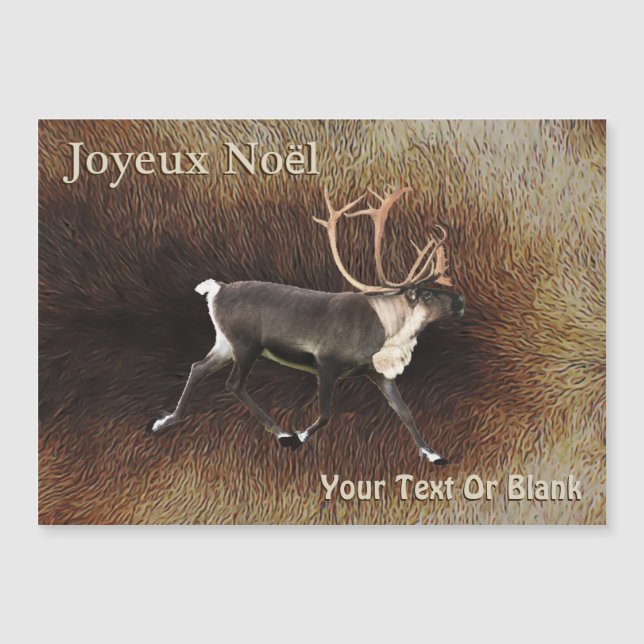 Carte Magnétique Joyeux Noё l - Bull Caribou (Reindeer) (Devant)