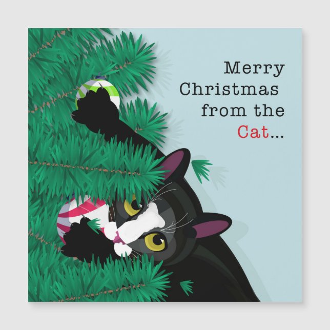 Carte Magnétique Joyeux Noël du chat (Devant)