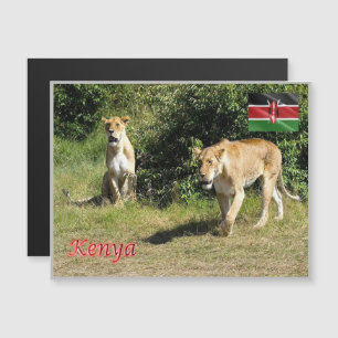 Carte Magnétique Kenya - Lionesses -