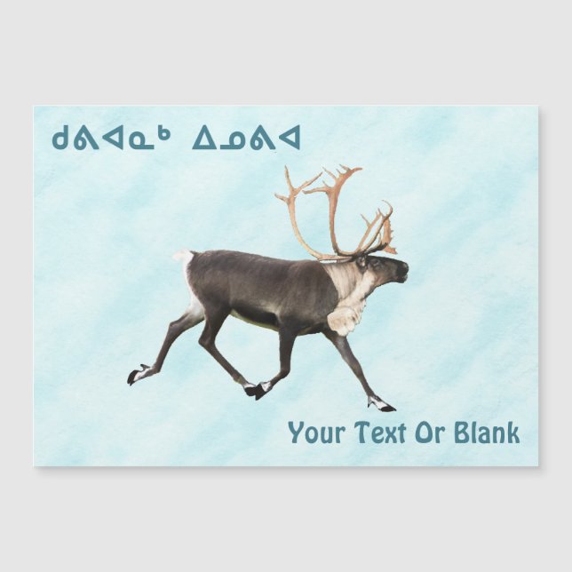 Carte Magnétique Kuvianak Innovia - Caribou (Reindeer) Sur Neige (Devant)