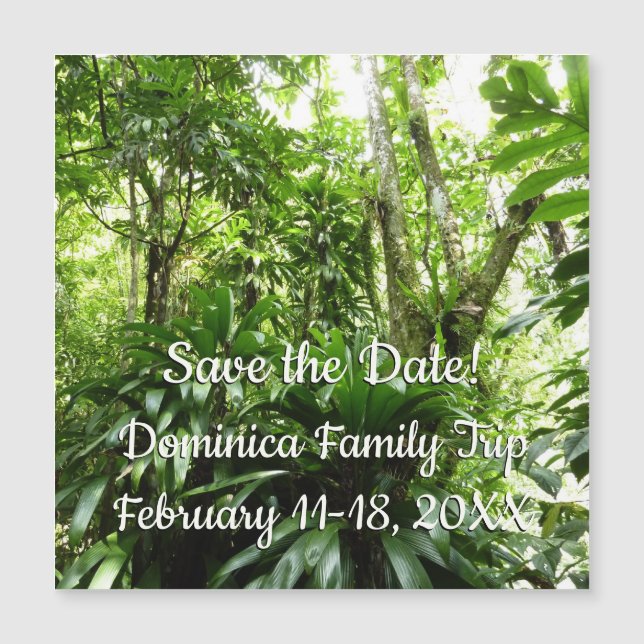 Carte Magnétique La forêt dominicaine I Tropical Sauvez la date (Devant)