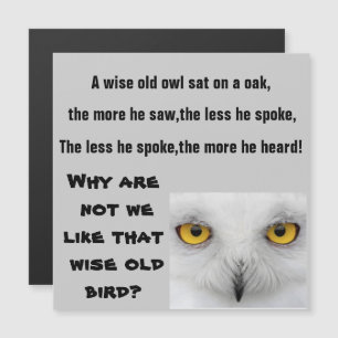 Carte Magnétique L'aimant WISE OLD OWL