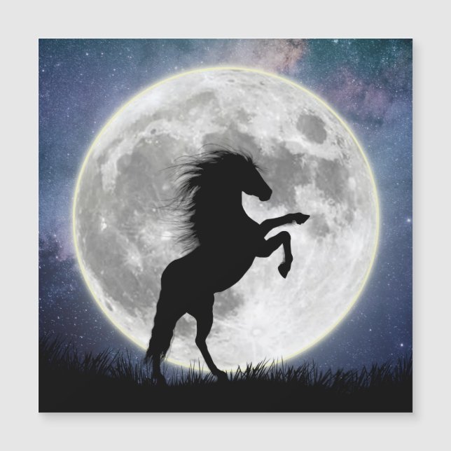Carte magnétique Le cheval et la lune blanche (Devant)