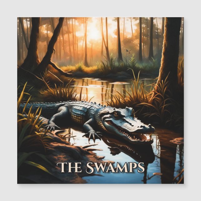 Carte Magnétique Les Swamps (Devant)