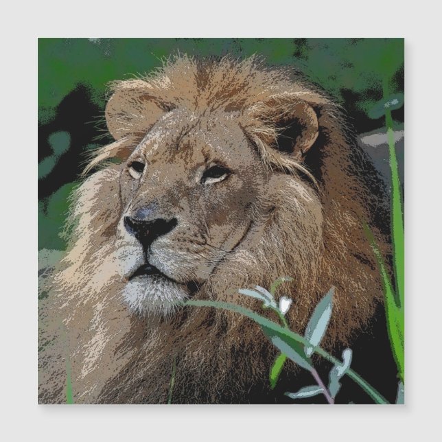 Carte Magnétique Lion20150805 (Devant)