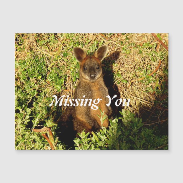 Carte Magnétique Little Wallaby (Devant)