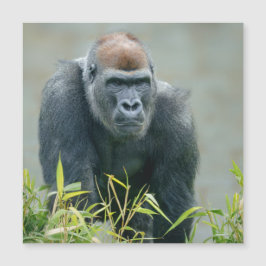 Carte Magnétique Lope de Gorilla Blackback