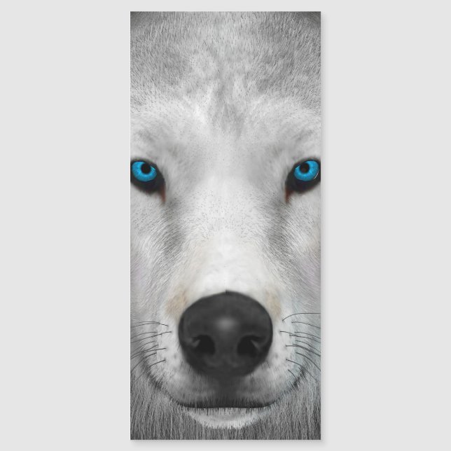 Carte Magnétique Loup Arctique (Devant)