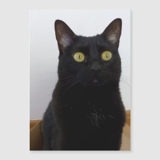 Carte Magnétique Ma Pan (Panthère)