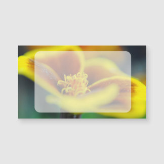 Carte Magnétique Marigold gros plan