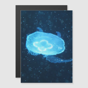 Carte Magnétique Méduse bleue natante