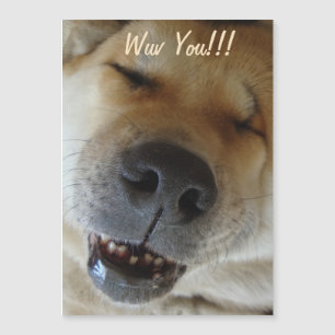 Carte Magnétique mignonne akita sourire drôle chien amour