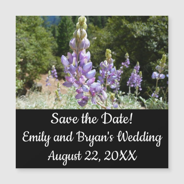 Carte Magnétique Mont Lupins (Devant)