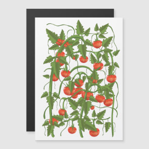 Carte Magnétique Motif Tomates