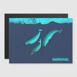 Carte Magnétique Narwhal Sous La Glace