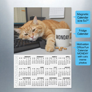 Carte Magnétique Office Cat Fridge Calendar 2026, Monday Motivation