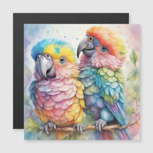 Carte Magnétique Oiseaux arc-en-ciel Parrots 1
