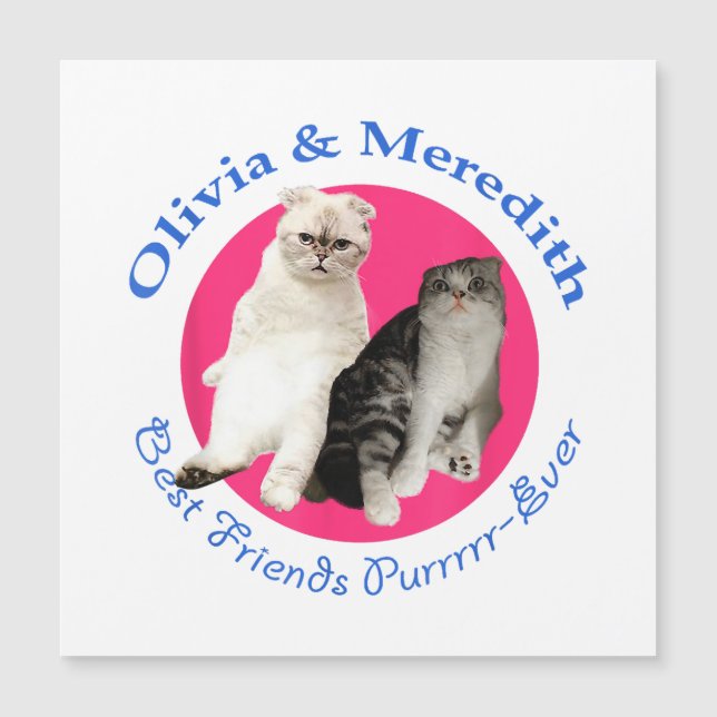 Carte Magnétique Olivia & Meredith - Meilleurs Amis Purrrr Ever (Devant)
