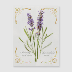 Carte Magnétique Painted Lavandula Vera Serenity et Calm