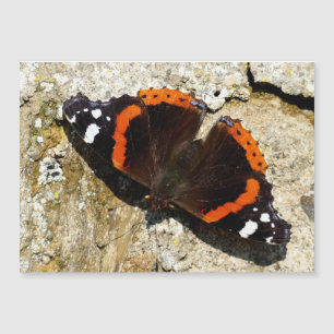 Carte Magnétique Papillon - Amiral rouge