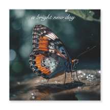 Papillon avec réflexion d'eau au soleil